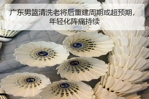 广东男篮清洗老将后重建周期或超预期，年轻化阵痛持续